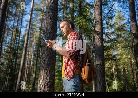 Concentrated young man rests after hiking looking into mobile, trying to find location in woodland Stock Photo