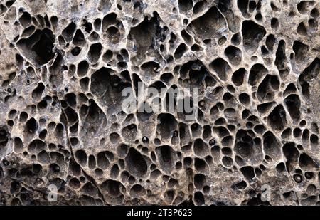 Textured gray rock structure with holes Stock Photo