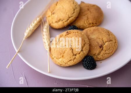 Wheat cookies, blueberries and wheat on pink plate Stock Photo