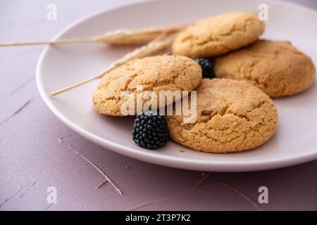 Wheat cookies, blueberries and wheat on pink plate Stock Photo