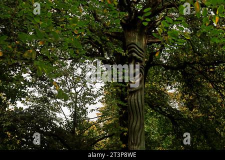 Spooky / funny carved wooden tree figure with smiling face blending into its surroundings, Bute Park, Cardiff. Taken Autumn 2023. October Stock Photo