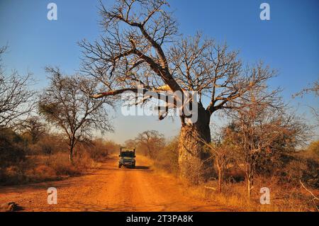 The Makuya Nature Reserve in Limpopo province South Africa offers visitors a unique experience of game drives and camping in rugged territory Stock Photo