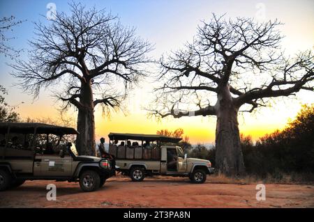 The Makuya Nature Reserve in Limpopo province South Africa offers visitors a unique experience of game drives and camping in rugged territory Stock Photo