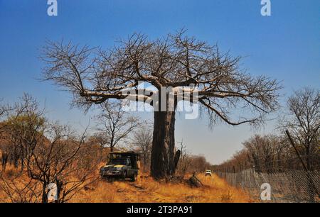 The Makuya Nature Reserve in Limpopo province South Africa offers visitors a unique experience of game drives and camping in rugged territory Stock Photo