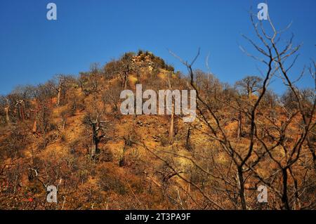 The Makuya Nature Reserve in Limpopo province South Africa offers visitors a unique experience of game drives and camping in rugged territory Stock Photo