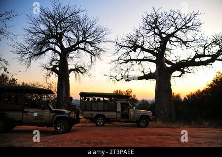 The Makuya Nature Reserve in Limpopo province South Africa offers visitors a unique experience of game drives and camping in rugged territory Stock Photo