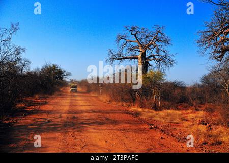 The Makuya Nature Reserve in Limpopo province South Africa offers visitors a unique experience of game drives and camping in rugged territory Stock Photo