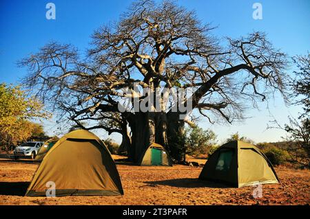 The Makuya Nature Reserve in Limpopo province South Africa offers visitors a unique experience of game drives and camping in rugged territory Stock Photo