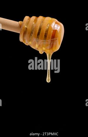 Liquid and fresh honey dripping from wooden honey spoon black background Stock Photo