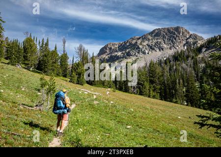 WY05369-00...WYOMING - Hiking through meadows on his way to Porcupine Pass in the Bridger Wilderness in the Wind River Range. Stock Photo