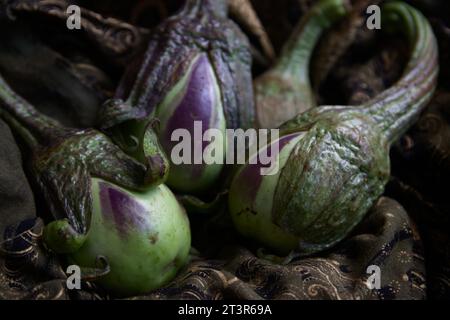 Close-up of some raw Almagro typical eggplants (Ciudad Real, Castilla la Mancha, Spain) on a brown handkerchief Stock Photo