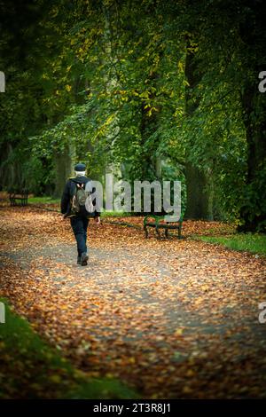 Rear view of a senior man walking alone through a park in the autumn Stock Photo