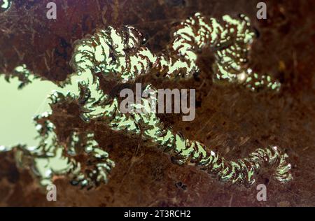 corroded stainless steel Stock Photo