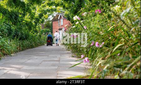 Carer family companion with elderly old age lady on mobility scooter in formal garden, with stone path pedestrian walkway bordered by Cosmos flowers Stock Photo