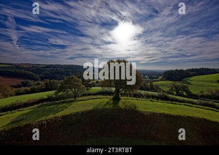 Dramatic sunlight in the sky above a wooded valley with a single tree in the foreground, Fowey Valley, Lostwithiel, Cornwall. Stock Photo