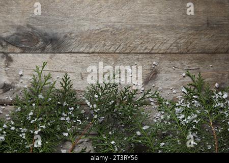 Christmas branches with snow on dark wooden background Stock Photo