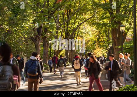 Locust Walk with students in fall, University of Pennsylvania, University City area, Philadelphia, PA, USA Stock Photo