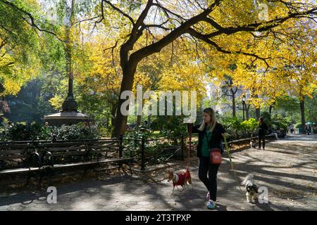 New York, USA. 26th Oct, 2023. In Manhattan's Union Square people make the most of unseasonably warm and sunny weather, as the leaves start to turn yellow. Today's high was 76 fahrenheit (over 24 centigrade) compared to the usual monthly highs of 66F (19 C) and temperatures are forecast to rise further at the weekend. Credit: Anna Watson/Alamy Live News Stock Photo