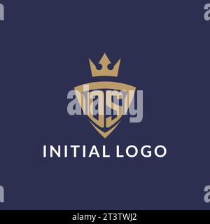 DS logo with shield and crown, monogram initial logo style vector file Stock Vector