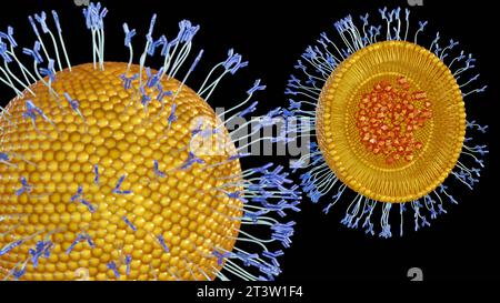 Antibody-modified liposomes, immuno-liposomes, can deliver encapsulated ...