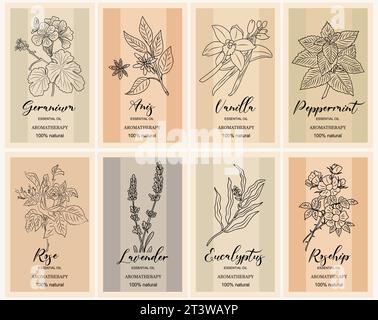 Essential oil labels set vector line art. Stock Vector