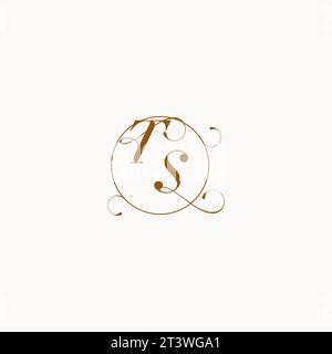 TS uniquely wedding logo symbol of your marriage and you can use it on your wedding stationary Stock Vector