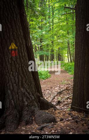 Jamestown Audubon Center and Sanctuary in New York Stock Photo