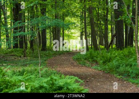 Jamestown Audubon Center and Sanctuary in New York Stock Photo