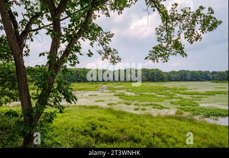 Jamestown Audubon Center and Sanctuary in New York Stock Photo