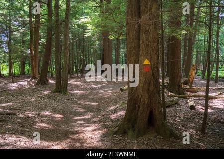 Jamestown Audubon Center and Sanctuary in New York Stock Photo