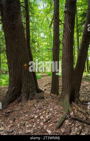 Jamestown Audubon Center and Sanctuary in New York Stock Photo