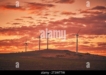 wind mills before sunrise in spring Stock Photo