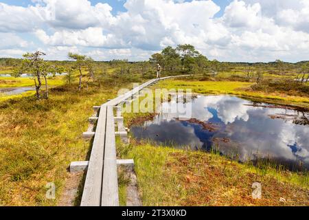 Tourist hiker with a backpack on a Spectacular Kakerdaja bog hiking trail surrounded with small ponds on a beautiful sunny summer day in Estonia Stock Photo