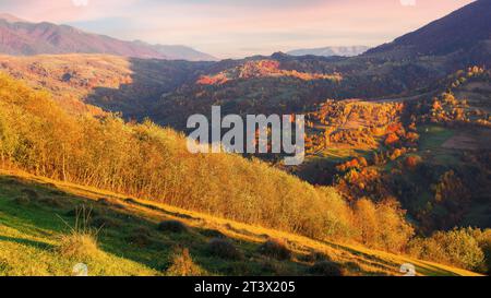 forest on the hill. mountainous rural landscape in autumn. countryside scenery in evening light Stock Photo