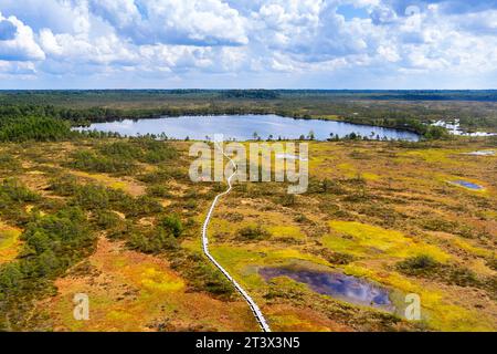 Spectacular aerial view of a Kakerdaja bog hiking trail to lake Kakerdi on a beautiful sunny summer day in Estonia, Stock Photo