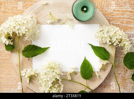 Light Green Paper Page Texture Background for Design. Top View Stock Photo  - Image of page, background: 173701648