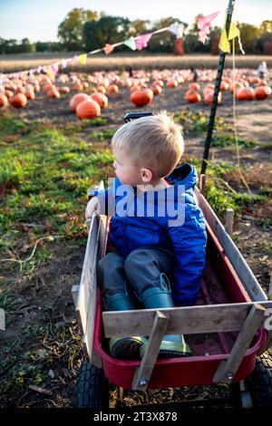 Toddler Boy Looking Away While Sitting in a Wagon at Pumpkin Patch Stock Photo