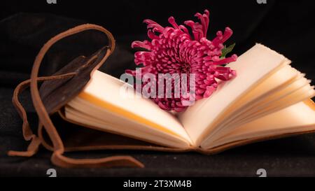 Closeup of an open, brown leather bound journal with a dark pink flower in its center. Stock Photo