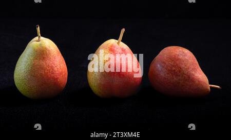 Two upright Forelle pears and one pear lying on its side against a dark background. Stock Photo