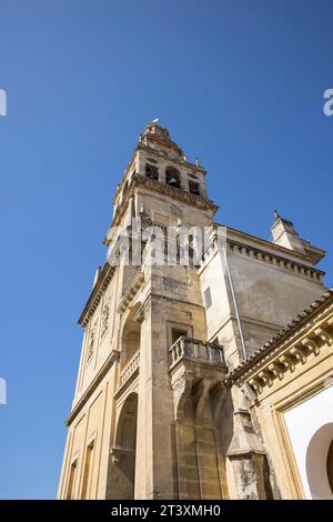 the mezquita is a roman catholic cathedral built  on the site of the great mosque of cordoba andalucia spain. Stock Photo