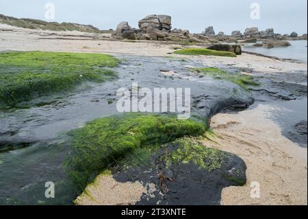 FRANCE, Brittany, Plage de Menehem, effects of oil tanker Amoco Cadiz disaster, 1978 crude oil at beach / FRANKREICH, Bretagne, Strand von Menehem, Ölreste der Tankerkatastrophe der Amoco Cadiz, Aufnahmedatum 10.8.2023 Stock Photo