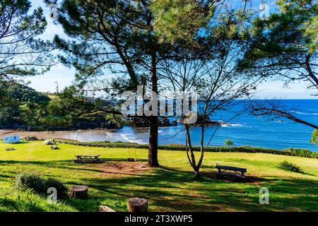 Pine forest and meadow next to Porcía Beach at sunset. Porcía beach is located in the Asturian council of El Franco and is shared with Tapia de Casari Stock Photo