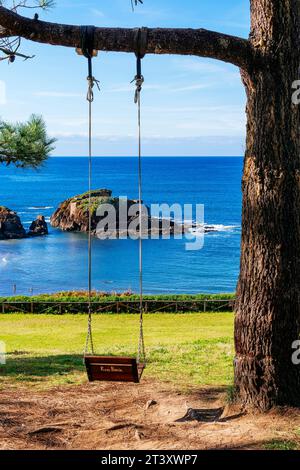 Rope swing hangs from a pine tree. Porcía beach is located in the Asturian council of El Franco and is shared with Tapia de Casariego. Principality of Stock Photo