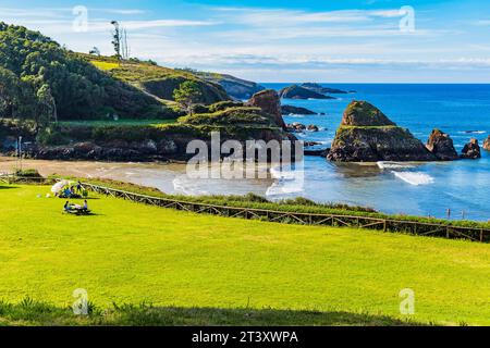 Meadow next to Porcía Beach at sunset. Porcía beach is located in the Asturian council of El Franco and is shared with Tapia de Casariego. Principalit Stock Photo