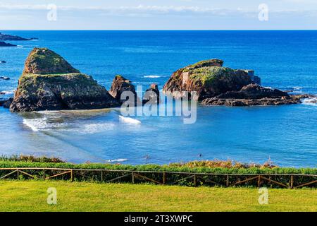 Meadow next to Porcía Beach at sunset. Porcía beach is located in the Asturian council of El Franco and is shared with Tapia de Casariego. Principalit Stock Photo