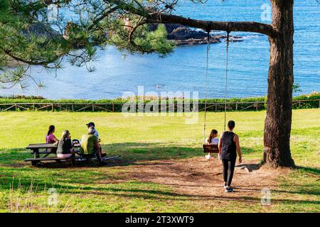 Rope swing hangs from a pine tree. Porcía beach is located in the Asturian council of El Franco and is shared with Tapia de Casariego. Principality of Stock Photo