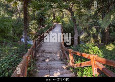 A rustic wooden bridge with log railings over a small stream in a ...
