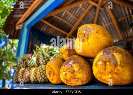 Close up of raw yellow and green water coconuts on the counter of a fruit shop in the tropical island. Stock Photo
