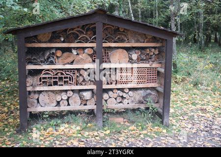 An insect hotel, also known as bug hotel or insect house, is a manmade structure created to provide shelter for insects. They can come in a variety of Stock Photo