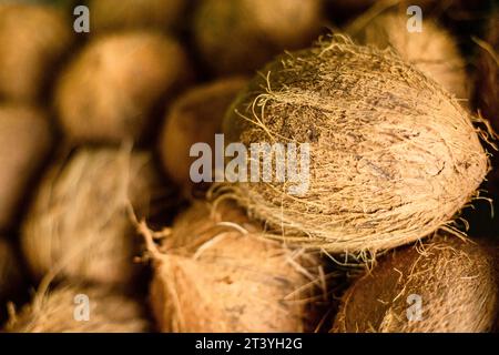 Close up of dehusked coconut pods in a street shop. Front view. Fresh tropical fruits and vegetables copy space blurred background Stock Photo